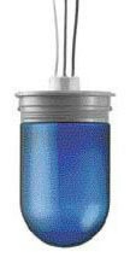 Vaporproof Incandescent Light Fixture